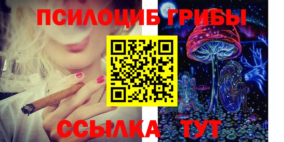 Щёкино  Галлюциногенные грибы прущие грибы  наркотики  Вход с VPN 