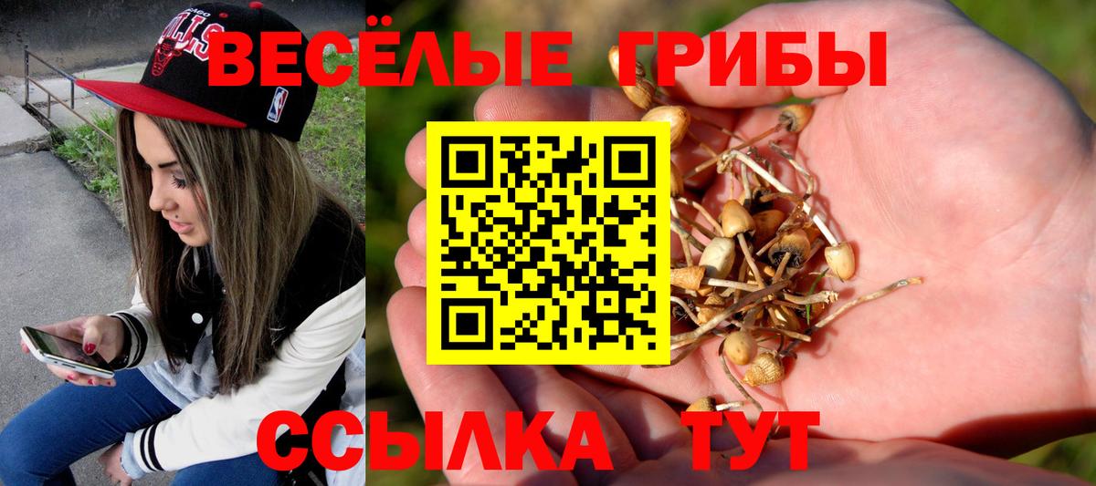 Галлюциногенные грибы Psilocybine cubensis Щёкино